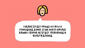 Как научить собаку оставаться дома одной?