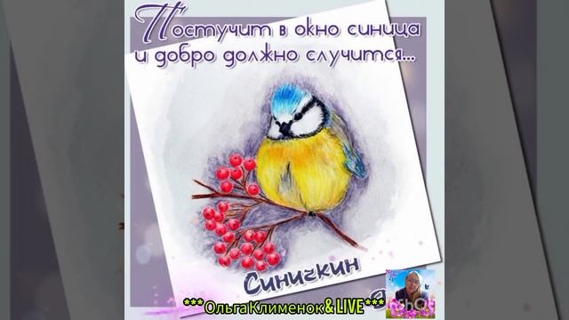 12 Ноября народный праздник Синичкин день ? смотреть онлайн