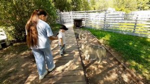 ПО ПРОСЬБЕ ДОЧЕНЬКИ ПОСЕТИЛИ ХАСКИ ЛЭНД🐕 И ДАЖЕ ОНИ, ОТ ЖИЗНИ СОБАЧЕЙ, СОБАКИ БЫВАЮТ КУСАЧЕЙ