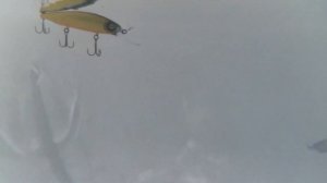 Обзор на копию на EverGreen Mo-Do Faith Custom Jerkbait 115 от Bearking