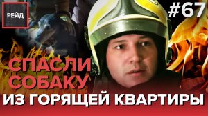 СПАСЛИ СОБАКУ ИЗ ГОРЯЩЕЙ КВАРТИРЫ - РЕЙД #67
