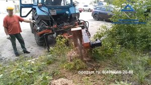Измельчитель пней дисковый на тракторе МТЗ