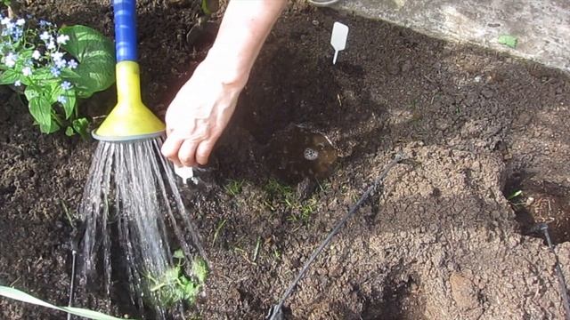 Посадка ОГУРЦОВ / ДВА СПОСОБА смотреть онлайн