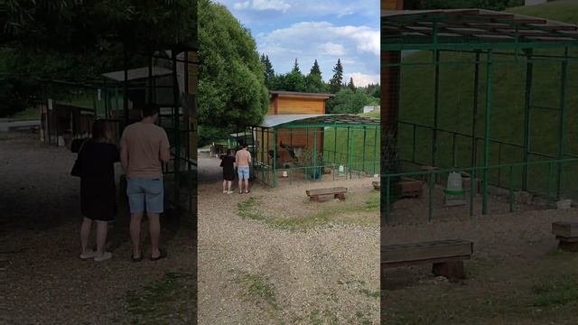 Парк-отель Лесной (Lesnoy) обзор