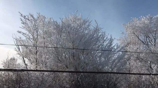 Зимняя сказка - деревья в серебре . смотреть онлайн