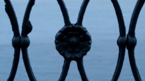 Fujifilm X-T3. Видеосъёмка. 4К 50 к/с.