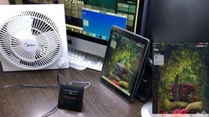HomeKit выключатель кнопочный Avatto 1 канал