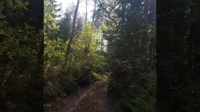 красота природы