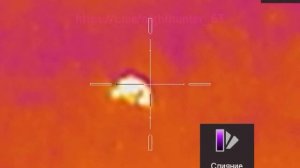 Тепловизионный прицел Arkon Alfa HT50. Заяц 53 метра.