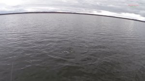 ловля щуки на воблеры осенью КАК ГДЕ И НА ЧТО ЛОВИТЬ КРУПНУЮ ЩУКУ ОСЕНЬЮ