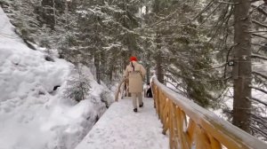 КАРЕЛИЯ (Сортавала) зимой. Это стоит увидеть!