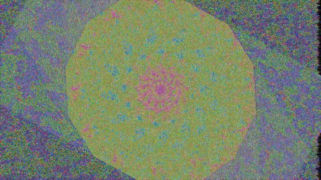 Simulated Video Feedback on the GPU (Run 8403)