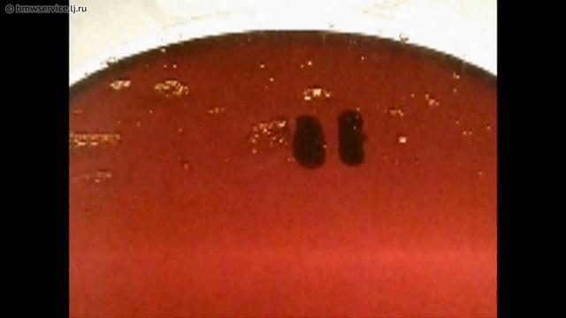 Плотность моторного масла 3, bmwservice.lj.ru смотреть онлайн