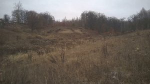 УМС Nikols для САЙГИ-308 с коротким стволом.