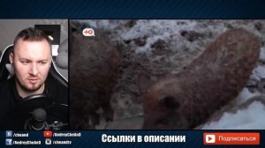 Обмен женами ► Толстушка упала в Г0ВН0 ► 6 выпуск 5 сезон