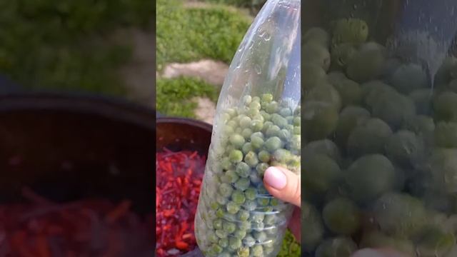 Борщевая заправка..Огонь! смотреть онлайн