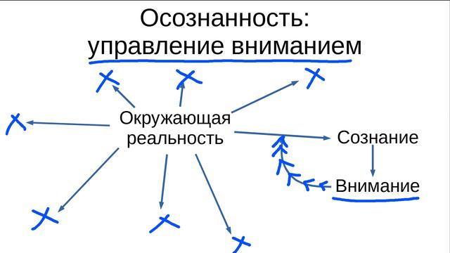 КМ01: 22 Осознанность, управление вниманием смотреть онлайн