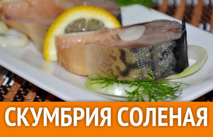 Как солить скумбрию в домашних условиях.