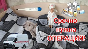Басик заболел! Влог от Басика (1)
