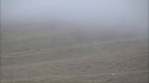 Киргизия. Охоты на козерогов и баранов.