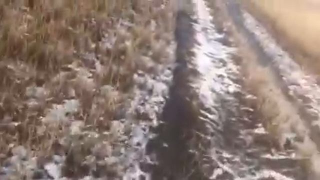 ваю ми видили лесу маленькую пишите коменти смотреть онлайн