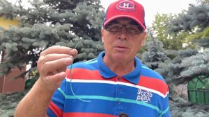 Зачем голубям хвосты выдирают?