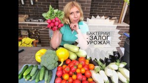 Внесение бактерий в почву - залог Вашего урожая. Дачные сезоны с Мариной Рыкалиной.