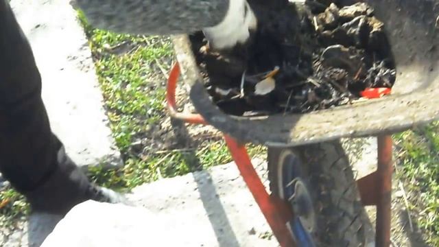 1. Разведение червей в ящиках в домашних условиях. Видеоинструкция разведение червей. смотреть онлайн