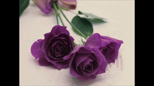 Всех влюблённых сердечно поздравляю с днём св Валентина! смотреть онлайн