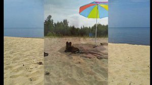 Термальный источник Загза