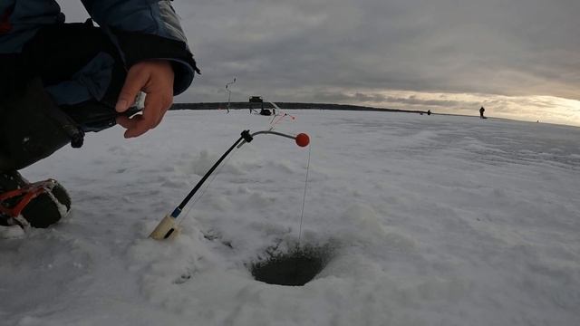 ТАСКАЕМ КОРЮШКУ С ОГРОМНОЙ ГЛУБИНЫ! ЗИМНЯЯ ЛОВЛЯ КОРЮШКИ НА ФИНСКОМ ЗАЛИВЕ смотреть онлайн