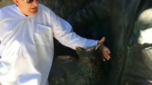 Карибский кризис Кузькина мать и Никита Хрущёв Команда 89 | Охота,рыбалка и путешествия