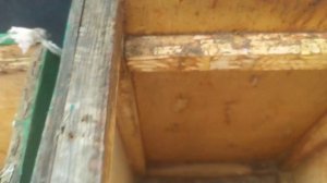 Роеловство 2021 г.🐝 Лучшие ловушки для роев!!!