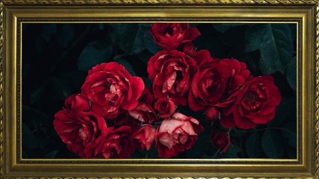 TV WALLPAPER  FRAMED PAINTING