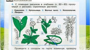 Задание 4 Охрана растений - Окружающий мир 3 класс (Плешаков А.А.) 1 часть