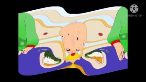 broccoli effects round 1 vs Megan woodmansee