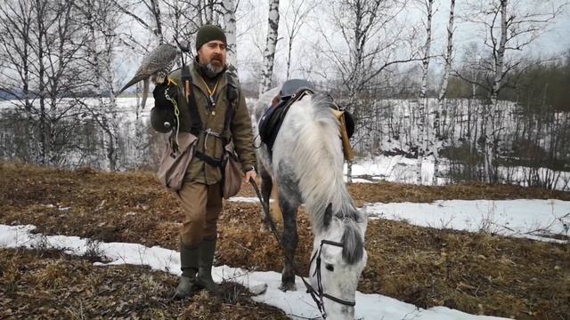 Азбука Соколиной Охоты.  Свистки