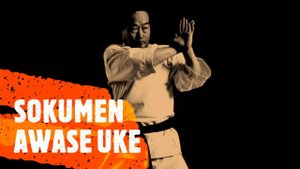 Sokumen Awase Uke - лучший блок от удара ногой в голову!