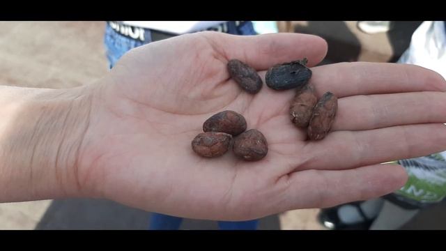 Большое путешествие по континентам смотреть онлайн