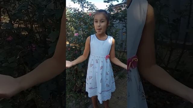 2020 год фестиваль "Осенний звездопад" Дейкина Вера - отрывок "Конёк-Горбунок" смотреть онлайн