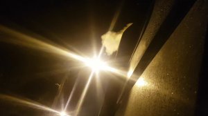 Замена масла на Cummins ISX 15