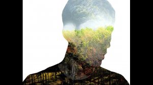 4. Проблема сознания в психологии. ГОСЫ по психологии. Общая психология