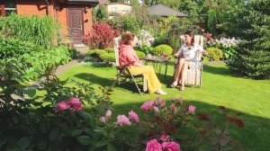 Газон  - Какой Сеять? Почему не всходит? Откуда кочки?