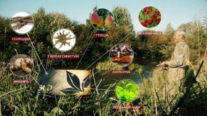 SLD - ПОЧУВСТВУЙ РАДОСТЬ ДВИЖЕНИЙ.mp4