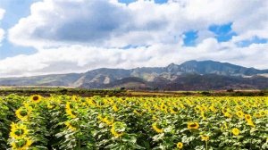 The Alan Parsons Project - Lucifer (by JJc)