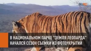 В национальном парке "Земля леопарда" начался сезон съемки из фотоукрытий
