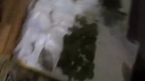 Болит нога рука спина компресс из березовых листьев