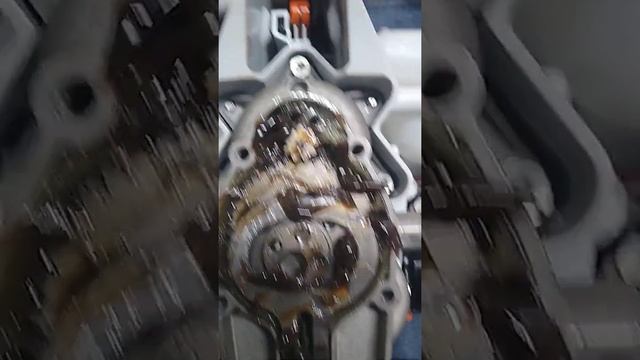 Stihl Hs45 Hedgetrimmer putting grease on gearbox.