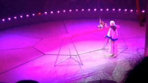 VLOG Рима в цирке. Новогоднее представление ! Медведи, обезьянки.