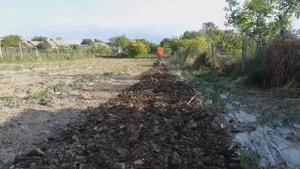 Междурядная культивация огородов мотоблоком НЕВА МБ 2